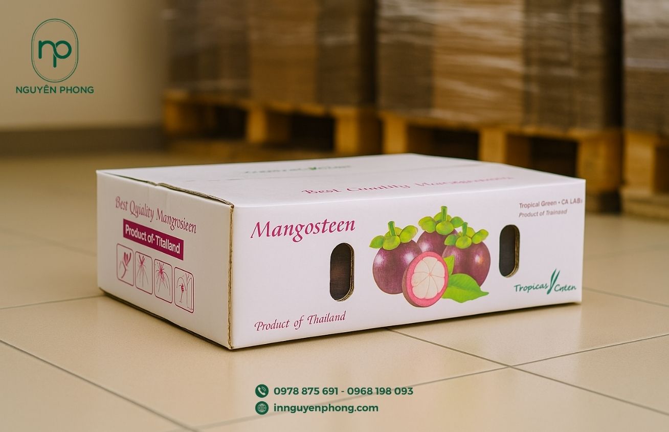 Kích thước thùng carton đựng măng cụt tùy chỉnh 